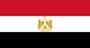 Electrical-electronics-research-and-development-services-in-Egypt